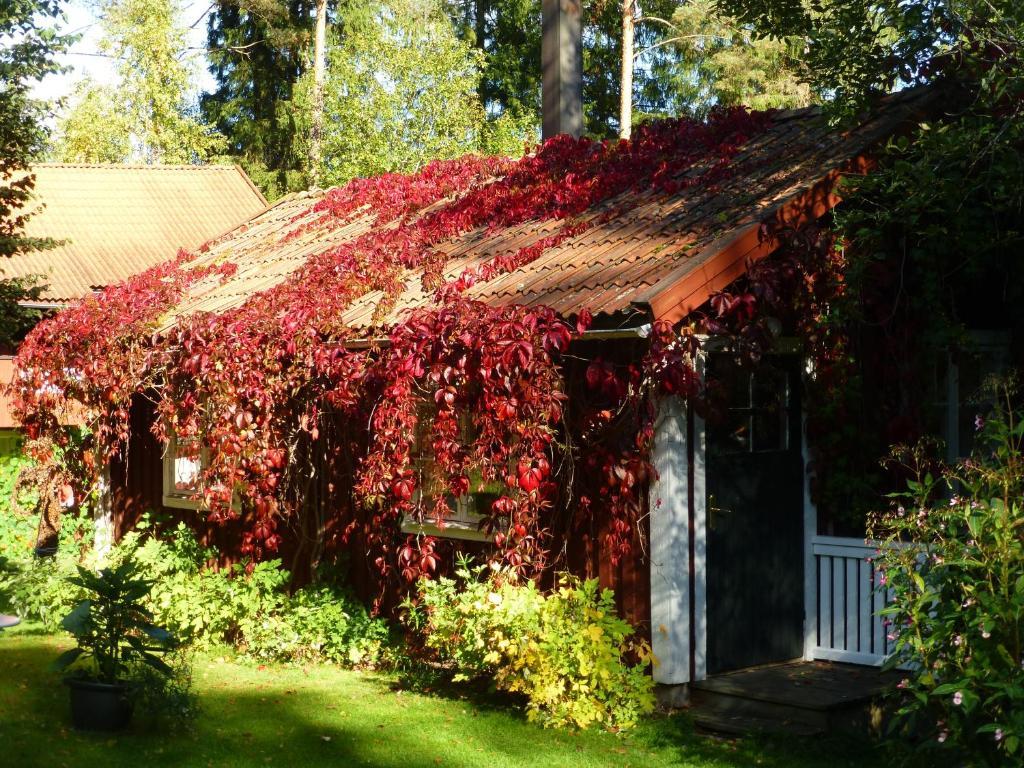 Praestmyrens Vandrarhem Ransäter Chambre photo